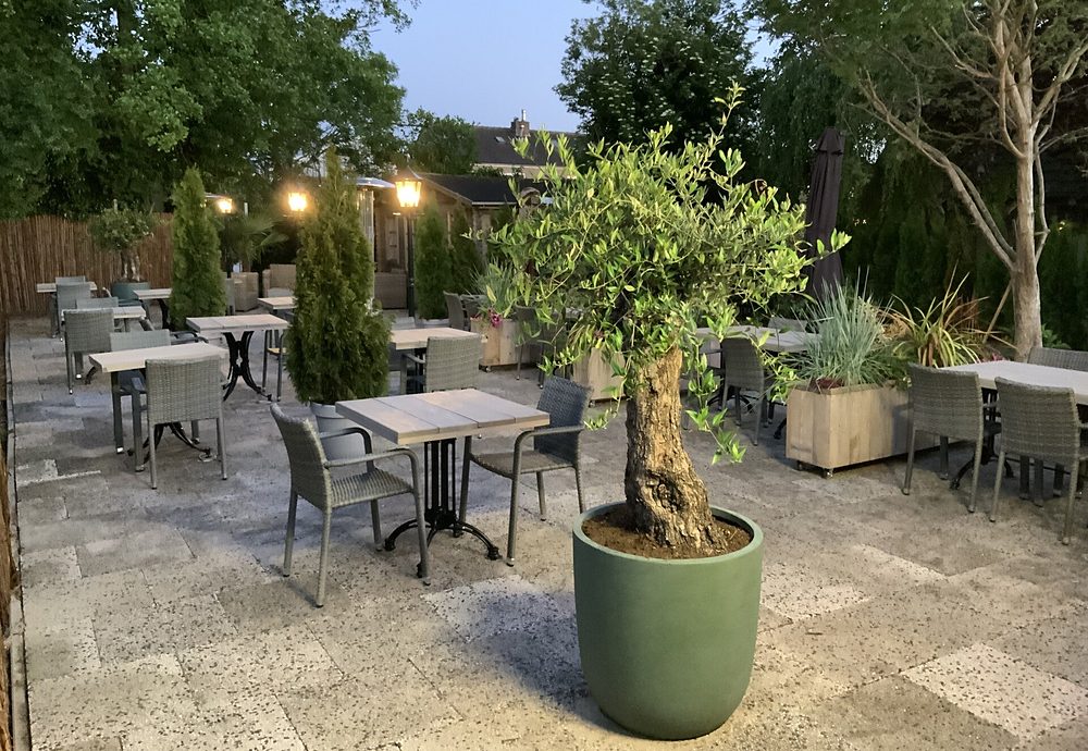 Het achterterras met tafels, lantaarns en een olijfboom in de avond